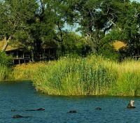 Kings Pool Camp